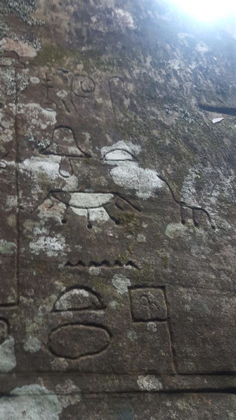 Gosford Glyphs Petroglyphs or Hieroglyphics - Destination's Journey