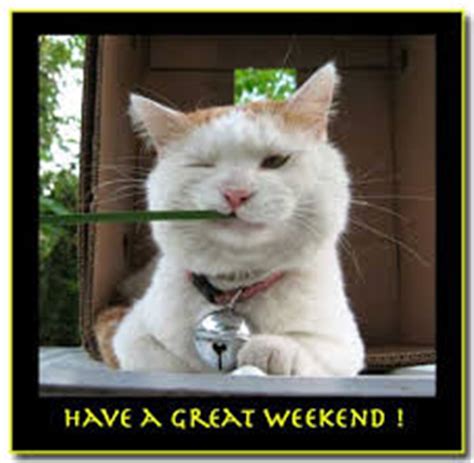 Have A Great Weekend! LOL cat :: Days - Weekend :: MyNiceProfile.com