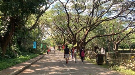 A Philippine university's journey to being the greenest in the country - Vatican News