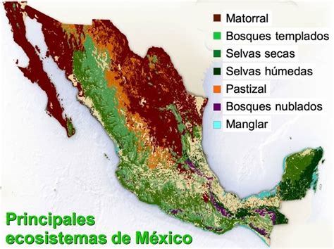 Ecosistemas de México - Ecosistema