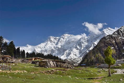 Fairy Meadows trek & Nanga Parbat Base Camp - A complete guide ...