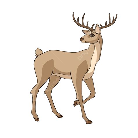 Fawning Clipart Transparent PNG Hd, Leg Raising Fawn Clipart Cartoon Style, Cartoon Fawn ...