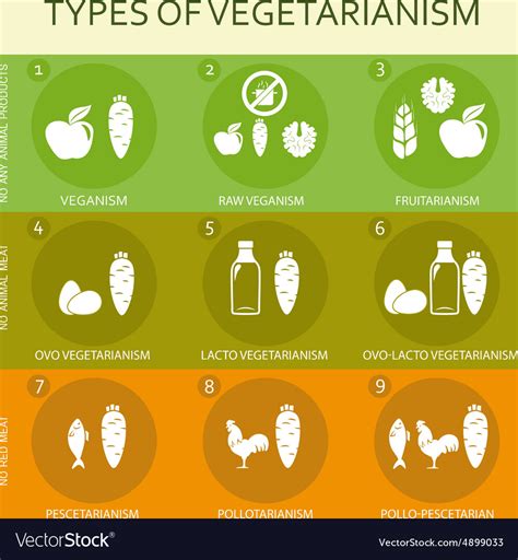 Vegetarian types infographic Royalty Free Vector Image