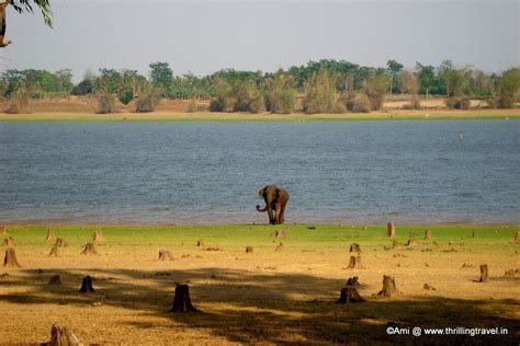 A long weekend at Kabini - Thrilling Travel