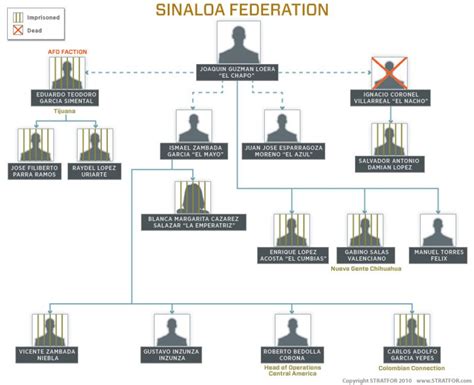 The Hierarchy of Mexico's Sinaloa Federation Cartel