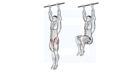 Hanging Leg Raise - Guide, Benefits, and Form