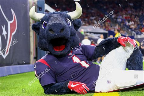 Houston Texans Mascot Toro Poses Photo Editorial Stock Photo - Stock ...