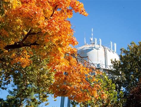 Fall foliage around Lancaster County as October comes to an end [photos] | Local News ...