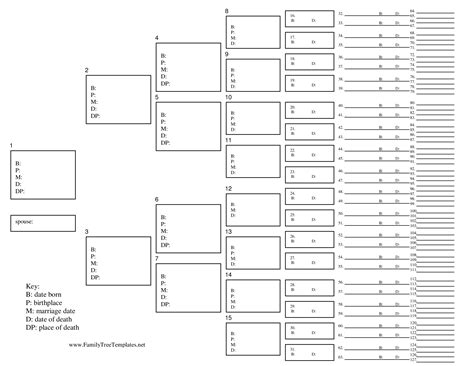 How to create a Large Family Tree? Download this Large Family Tree template now! | Family tree ...