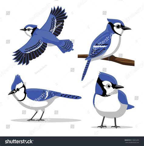 Cute Blue Jay Poses Cartoon Vector Stock Vector (Royalty Free) 510825295 | Shutterstock