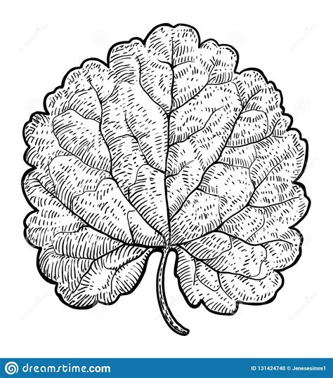 Dead Leaf Illustration, Drawing, Engraving, Ink, Line Art, Vector Stock ...