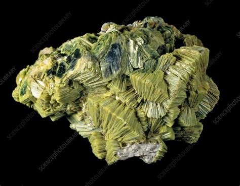 Autunite crystals - Stock Image - C011/2357 - Science Photo Library