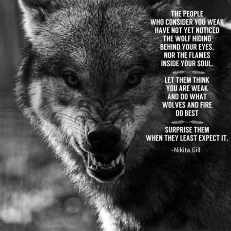 38 Warrior Quotes That Will Inspire You 4 | Warrior quotes, Lone wolf ...