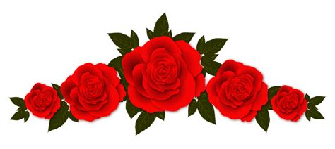 bunga mawar merah png - John Rees