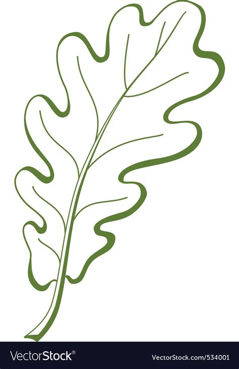 Leaf of oak tree vector Royalty Free Vector Image