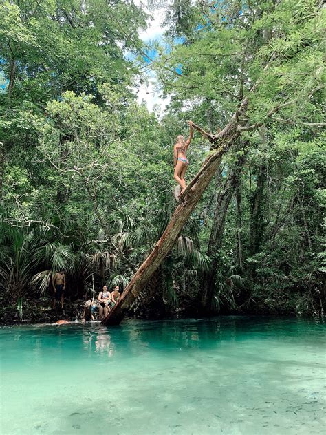 Weeki Wachee Kayaking | Florida blog | Fresh Mommy Blog