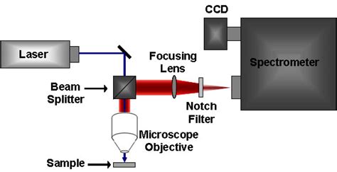 Raman Spectroscopy | Science Facts