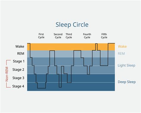 5 Stages of Sleep: Psychology, Cycle & Sequence