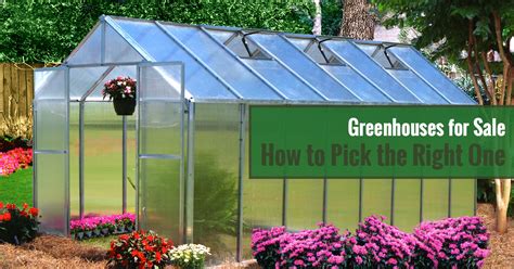 Greenhouses for Sale - How to Pick the Right One