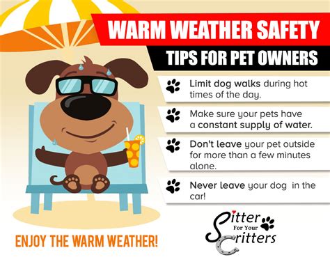 Summer Safety Tips For Dog Owners – A Must Read Guide - Pet Sitting ...