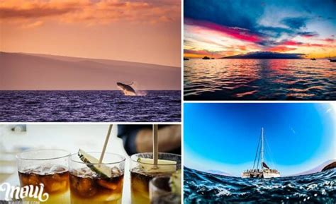 Maui Sunset Dinner Cruises | Best Hawaii Cocktail and Whale Cruise