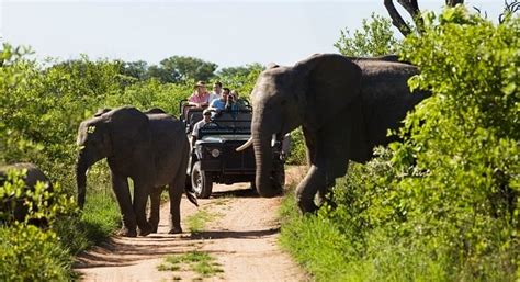 Wild Limpopo: 10 reason to explore this beautiful gateway to Africa ...