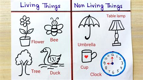 Living and non- living things sketch easy idea|How to sketch of living ...