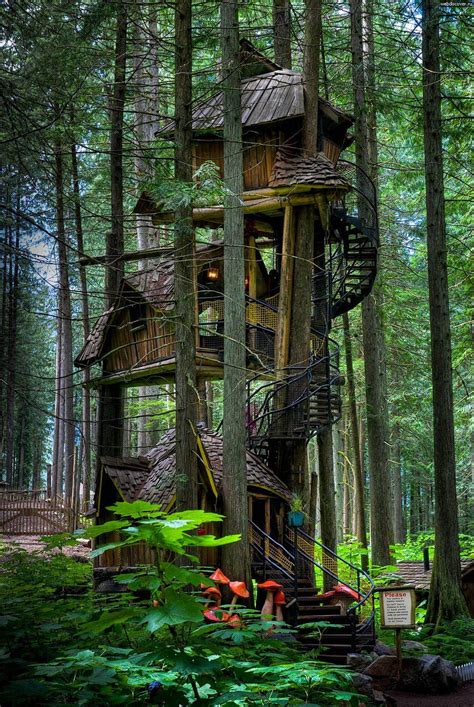 17 of the Most Amazing Treehouses From Around The World | Bored Panda