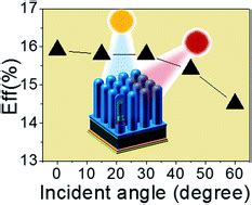 Passivation of high aspect ratio silicon nanowires by using catalytic chemical vapor deposition ...