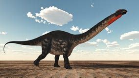 Dinosaur Apatosaurus And Human Size Comparison Stock Illustration ...