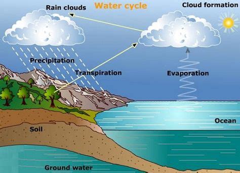 10+ Best Evaporation Animation images | evaporation, water cycle, chemistry lessons