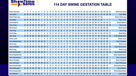 Swine Gestation Calendar - Printable Word Searches