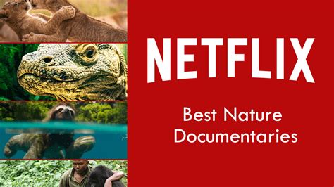 Netflix Documentaries FREE on YouTube! - Peotone Library