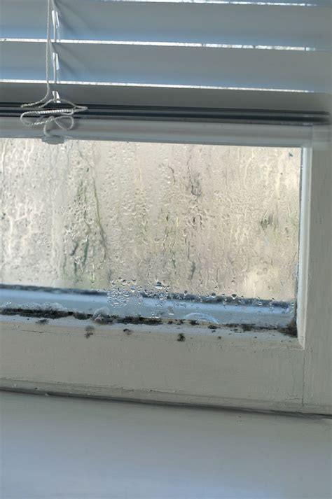 20 best images about Window Condensation Solutions on Pinterest | Home improvements, Solve and ...