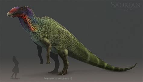 12 best Dinosauria 1 : Anatosaurus images on Pinterest | Dinosaurs, Prehistoric animals and Paleo