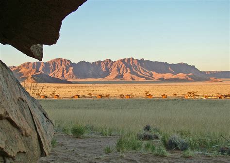 Desert Camp - Travel News Namibia