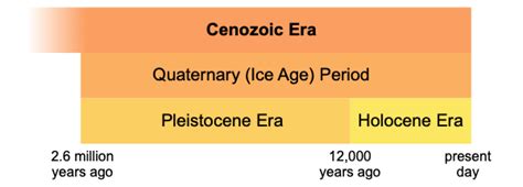 Quaternary Time Period Climate