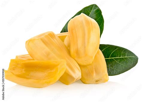 Jackfruit with jackfruit leaf, isolated on white background. Stock ...