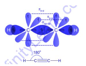 Hybridization of Ethyne - Infinity Learn by Sri Chaitanya