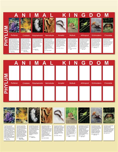 The Five Kingdoms Chart Montessori Printable Montessori Science - Riset