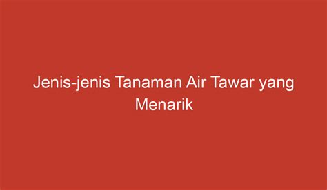 Jenis-jenis Tanaman Air Tawar yang Menarik