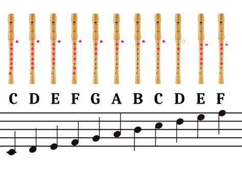 The Recorder - Notes Chart | Teaching Resources