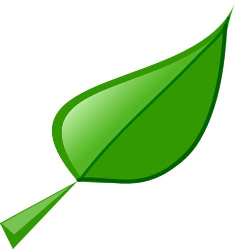 Cartoon Leaf - ClipArt Best