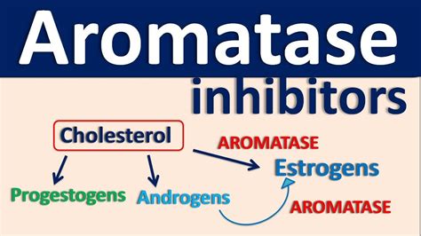 Aromatase inhibitors - YouTube