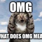 Omg Cat Meme Generator - Imgflip