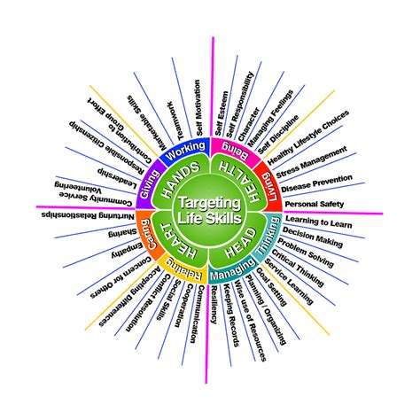 Life Skills: Planning programs with the life skill wheel | 4-H in the Panhandle