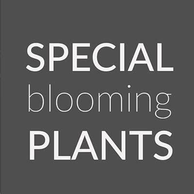 Special Blooming Plants | Wateringen