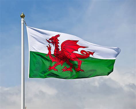 Royalty Free Welsh Flag Pictures, Images and Stock Photos - iStock