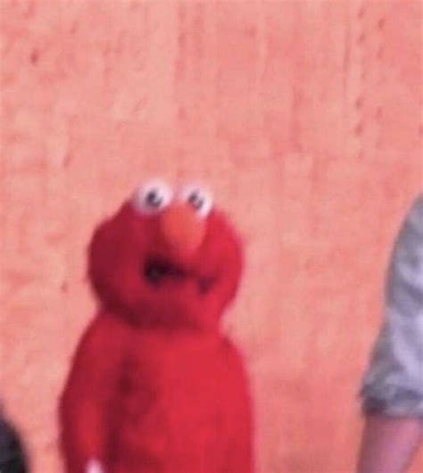 elmo meme | Hình vui, Ảnh vui động vật, Ảnh vui