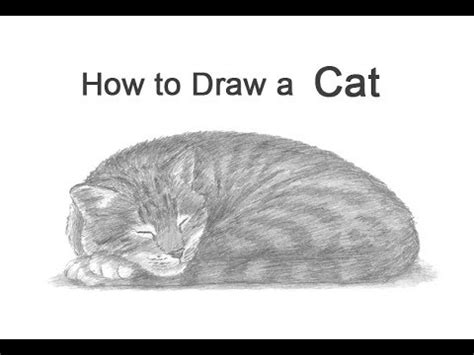 Outline Cat Laying Down Drawing Over 1 288 laying down pictures to choose from with no signup needed